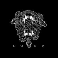 Ludo Smolic